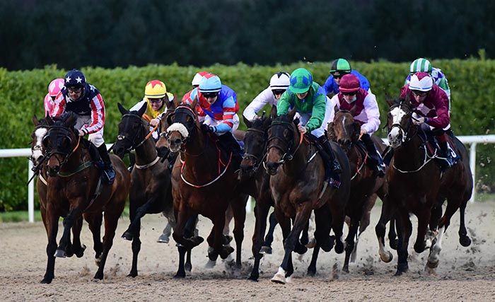 Kalmira (yellow, red & white colours, third from left