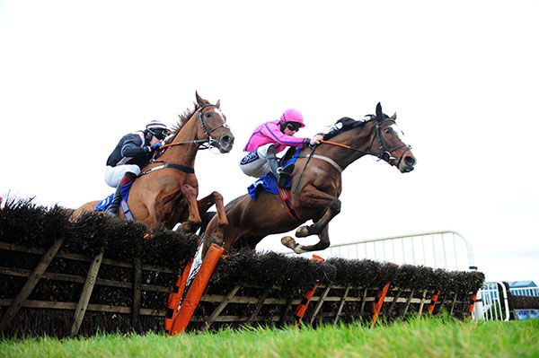 Light Brigade and Jack Foley (right) win from Francois 