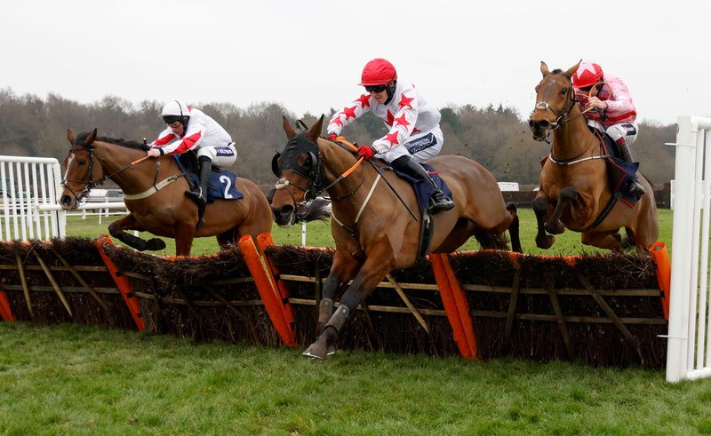 Darver Star just leads over the last from Brewin'upastorm (right) and Goshen at Lingfield
