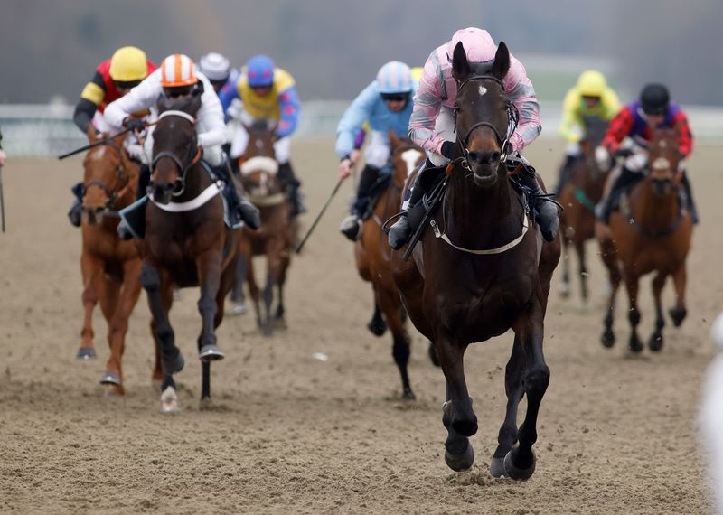 Our Jester won the bumper at Lingfield with Estacas (out of shot) third and Irish runner So Scottish (pale blue) fourth 