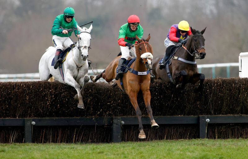 Bristol De Mai (left) was a close third to Two For Gold (centre) at Lingfield