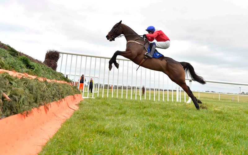 Allaho runs in the King George VI Chase at Kempton