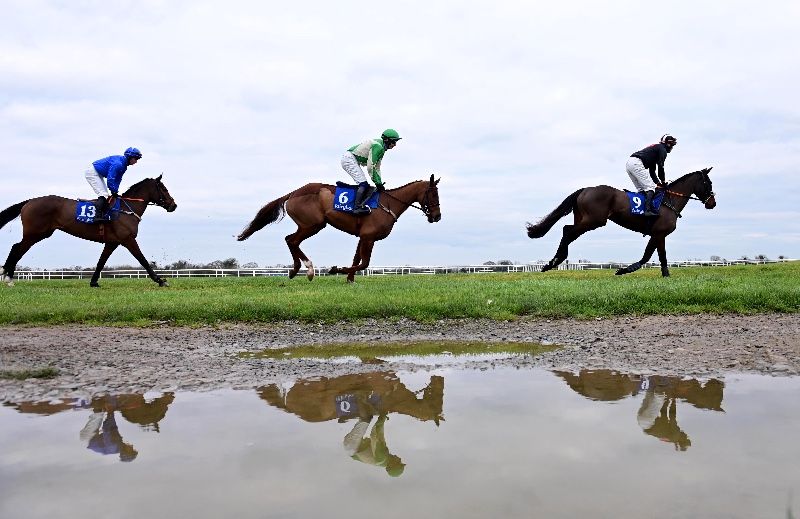 Fairyhouse