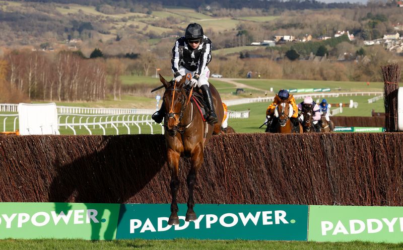Imperial Alcazar and Paddy Brennan winning at Cheltenham