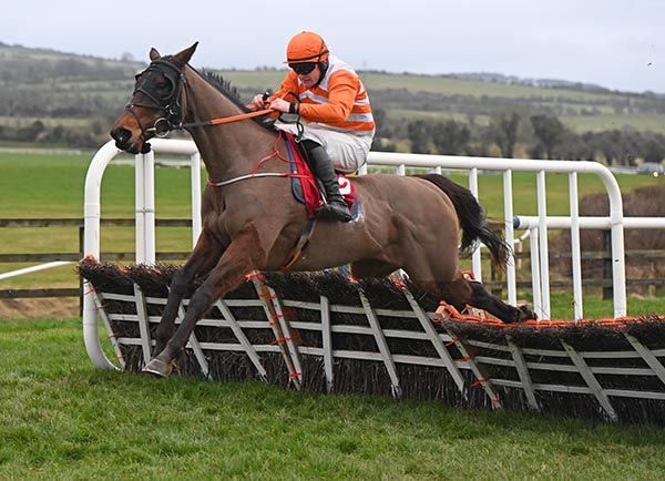 Round The Buoy clear of the field at the last