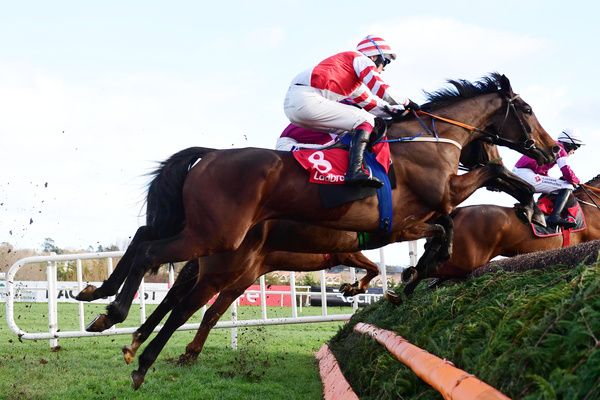 Master McShee is favourite for the Grade 2 Webster Cup at Navan