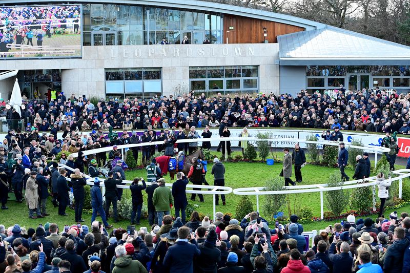 Racegoers gather around the winners' enclosure after Honeysuckle's win at Leopardstown last February