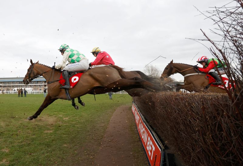 Celebre D'Allen (nearest)