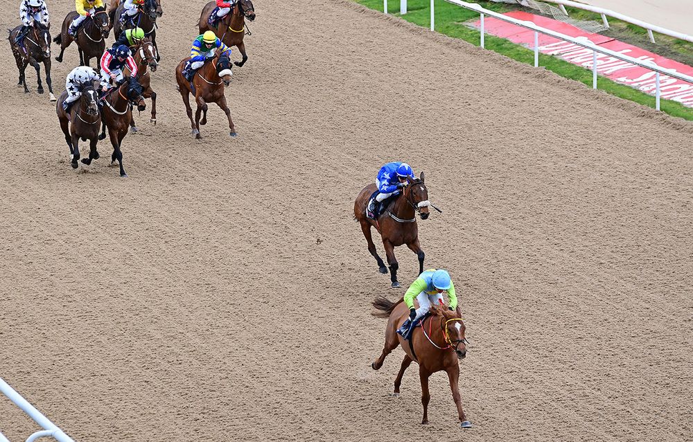 Hidden Land (Luke McAteer) beating Matilda With Me 