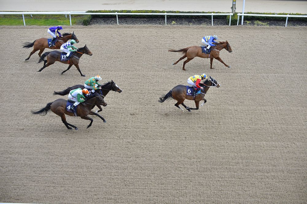 Evening Verse (far side) beating French Company