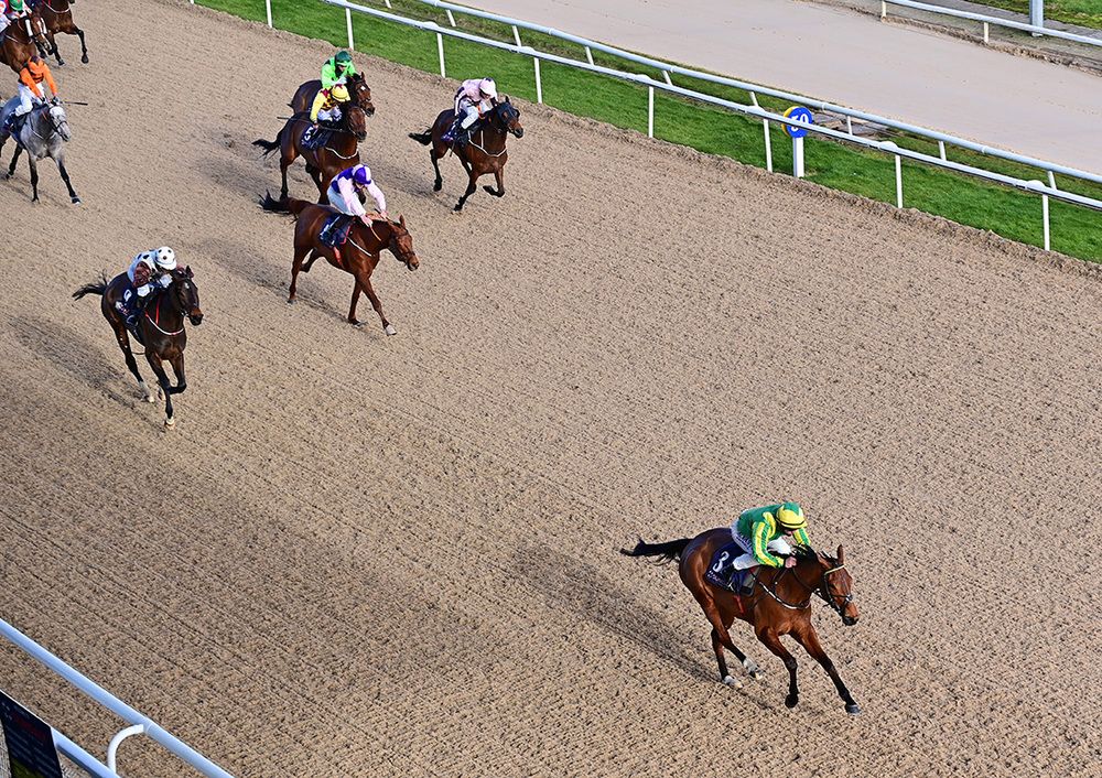 Summit Star (Gary Carroll) wins easily