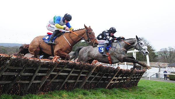 Dancing Jeremy (grey) and Derek O'Connor lead eventual third Donnrua Dream