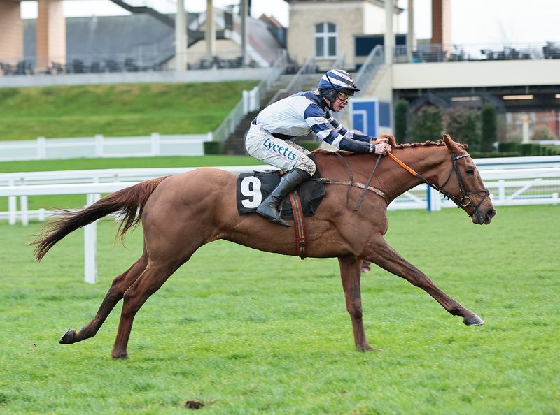 Good Risk At All (Charlie Deutsch) winning at Ascot 