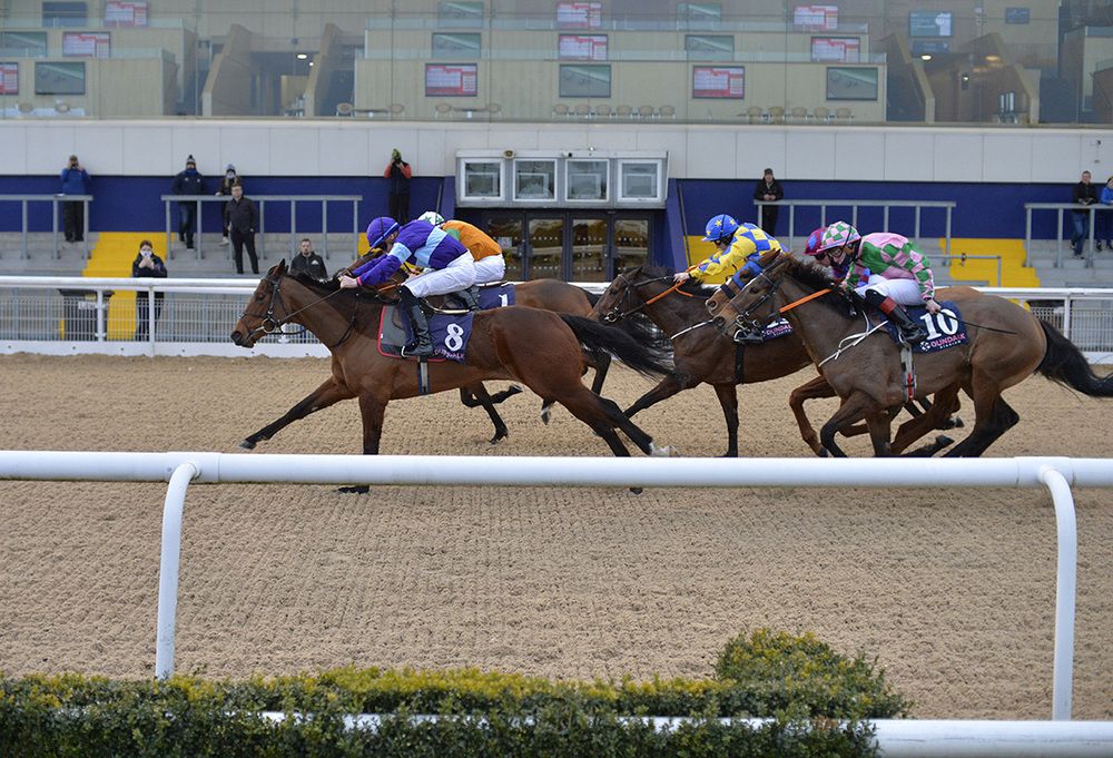 Pandemic Princess (no.8) just holds on to beat Form Of Praise 
