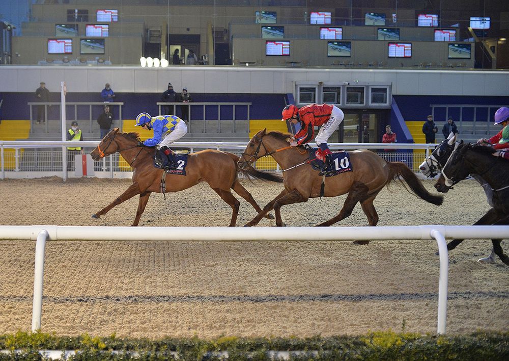 Sunset Nova beats Reverberation 