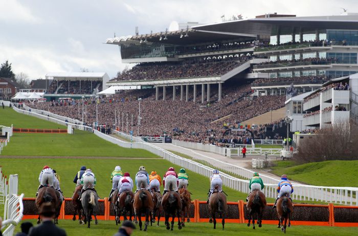 Cheltenham Racecourse