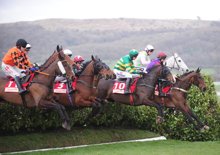 Cross Country action at Cheltenham