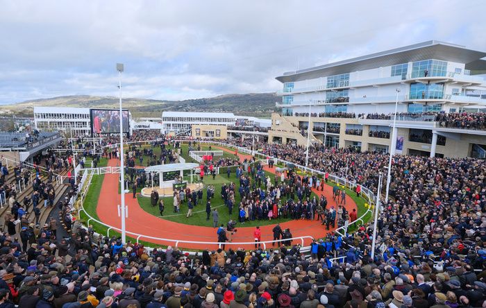 Sale took place in the Cheltenham Parade ring