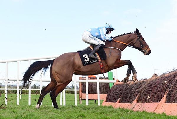 Brampton Belle and Rachael Blackmore