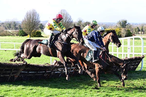 Champ Royal makes a mistake at the last as Waittillitellyou, red cap, launches a winning bid