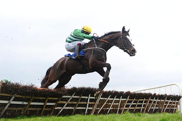 Where's Frankie and Donagh Meyler