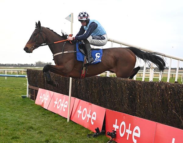 Regina Dracones and Jack Foley