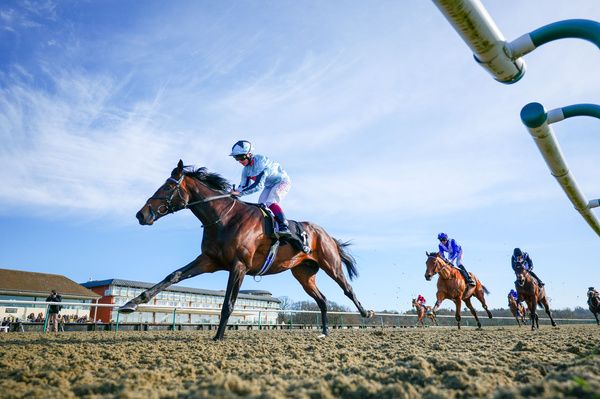 Alenquer (Cieren Fallon) winning the Betway Winter Derby Stakes at Lingfield