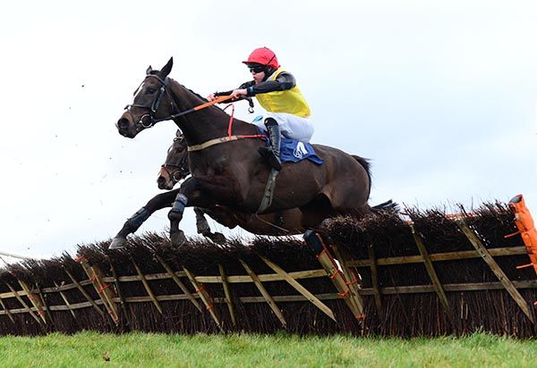 Justicialism and Shane Fitzgerald 