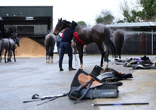 Horses and Grooms after morning exercise at Gordon Elliott's stables