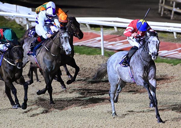 The Grey Wizard and Shane Crosse