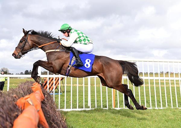 Salamanca Bay and Mikey Fogarty