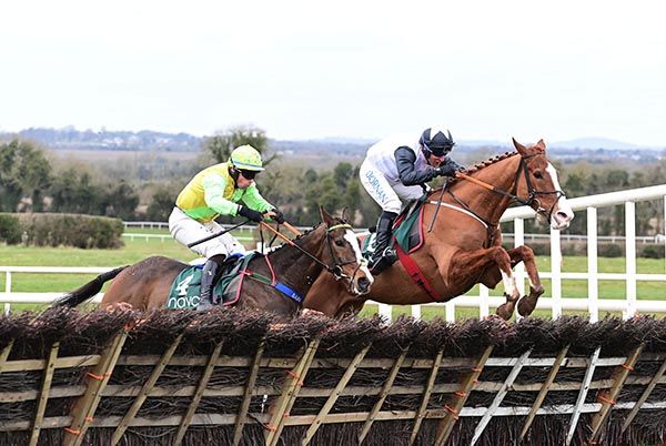Bodhisattva (far side) leads Attaboyarchie over the last