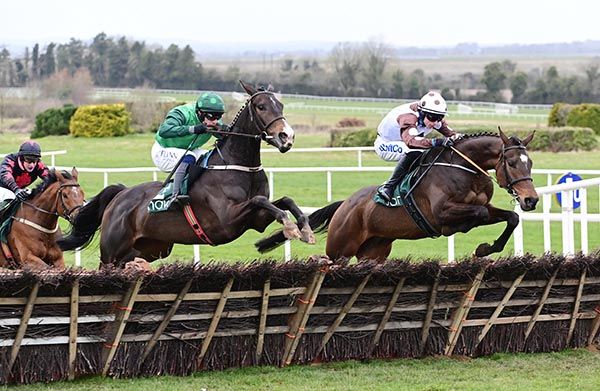 Daily Present (right) beats Bronn 