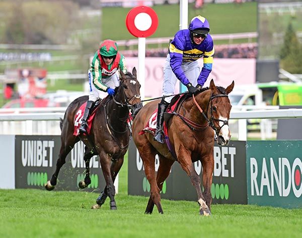 Corach Rambler winning at Cheltenham