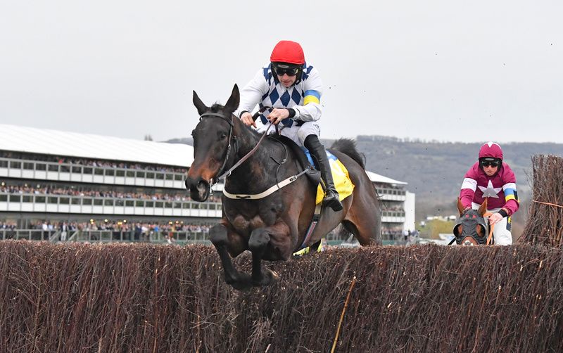 Stattler, unbeaten over fences, takes on Minella Indo at Tramore on Sunday 