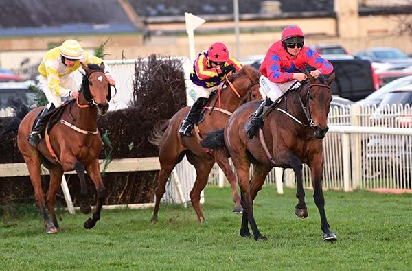 Lawlor's Choice and Tiernan Power Roche