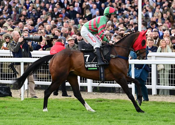 Tommy's Oscar and Danny McMenniman