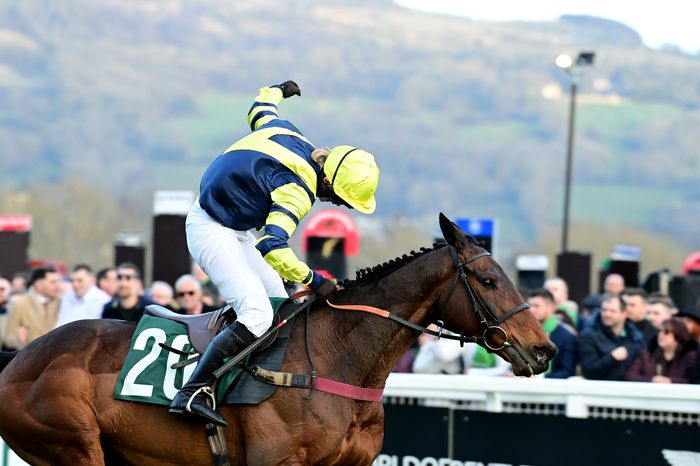 Chambard and Lucy Turner winning at Cheltenham in 2022