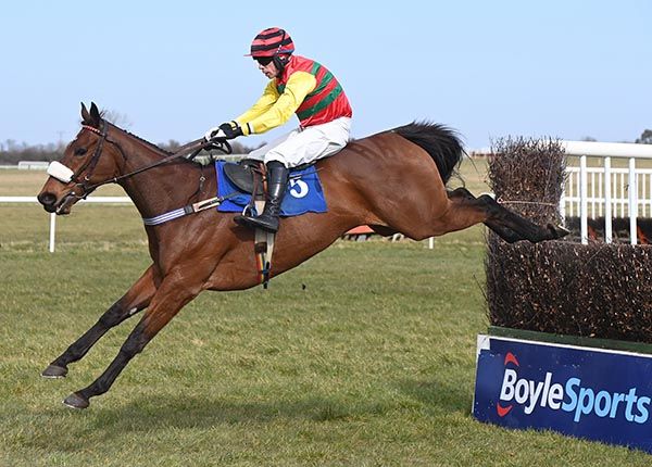 Max Flamingo will represent trainer Francis Casey at Tipperary 