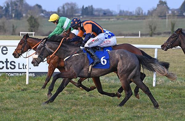 No Looking Back (nearside) finishing best in the bumper