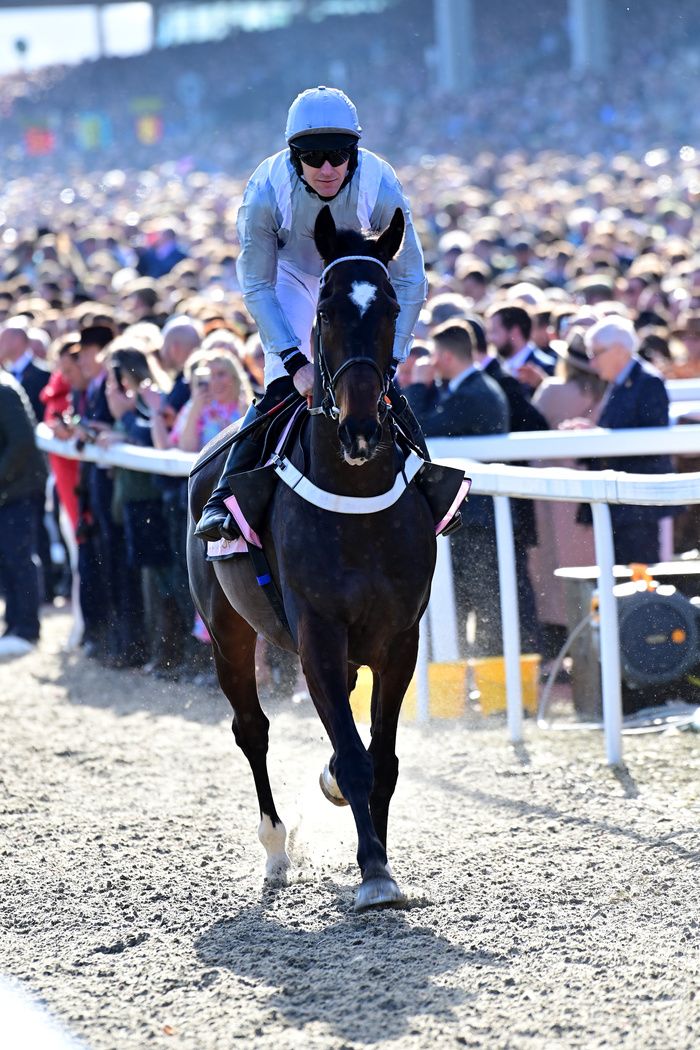 Santini and Nick Scholfield