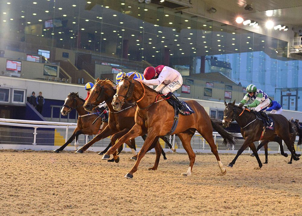 Dammit and Chris Hayes 