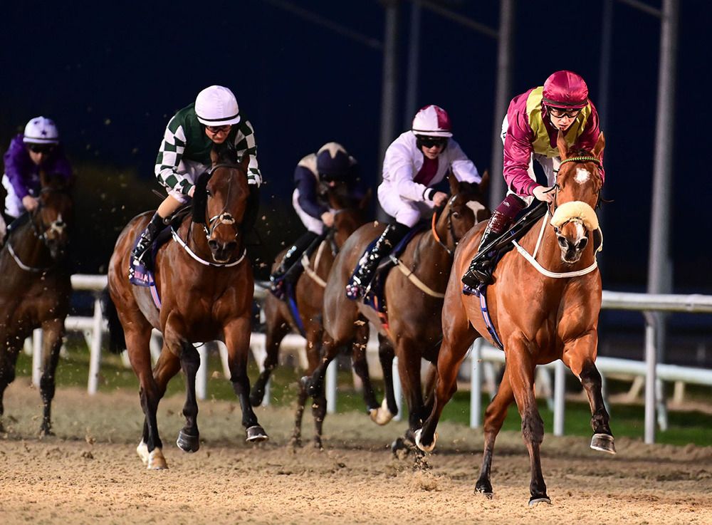 Unconquerable Keen and Mikey Sheehy lead them home