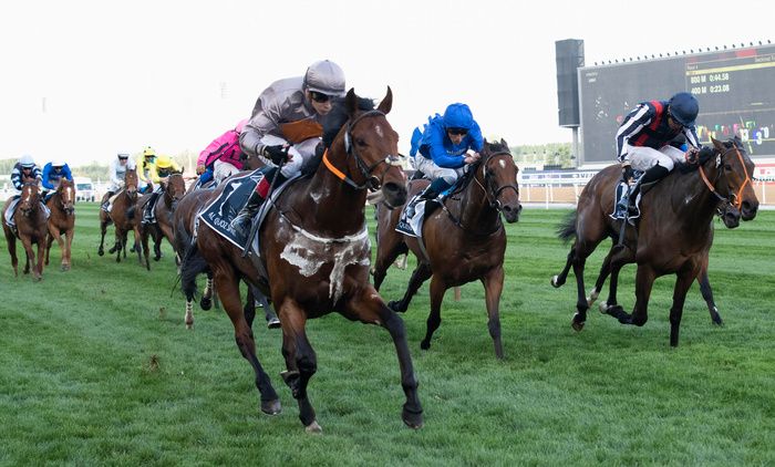 A Case Of You (nearest) is one of 27 horses declared for Saturday's Platinum Jubilee Stakes at Royal Ascot