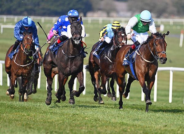 Markaz Paname, right