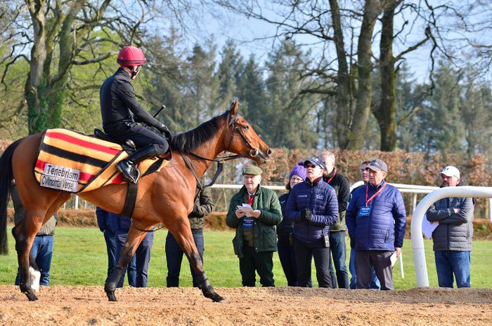 Tenebrism and work rider Dean Gallagher at the Ballydoyle media day in March 