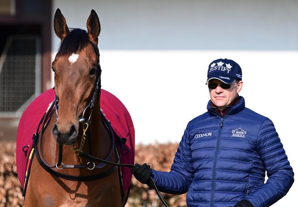Aidan O'Brien with Luxembourg at Ballydoyle Stables