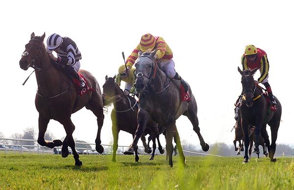 The grey Dartan beats No Say Ever (left)
