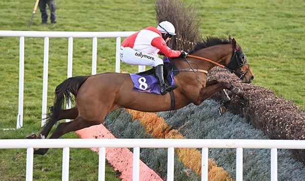 Lady McCabe and Darragh O'Keeffe  