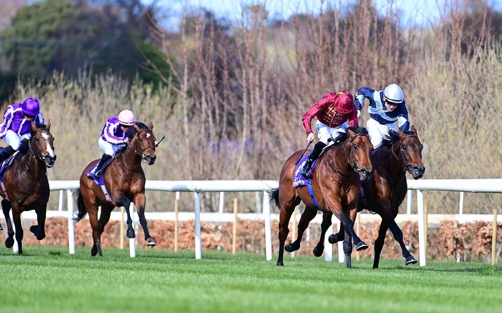 Piz Badile (far side) battles it out with Buckaroo in the Ballysax Stakes
